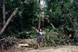 storm damage
